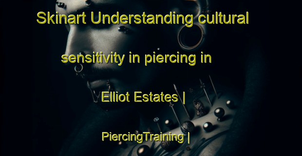 Skinart Understanding cultural sensitivity in piercing in Elliot Estates | PiercingTraining | PiercingClasses | SkinartTraining-United States